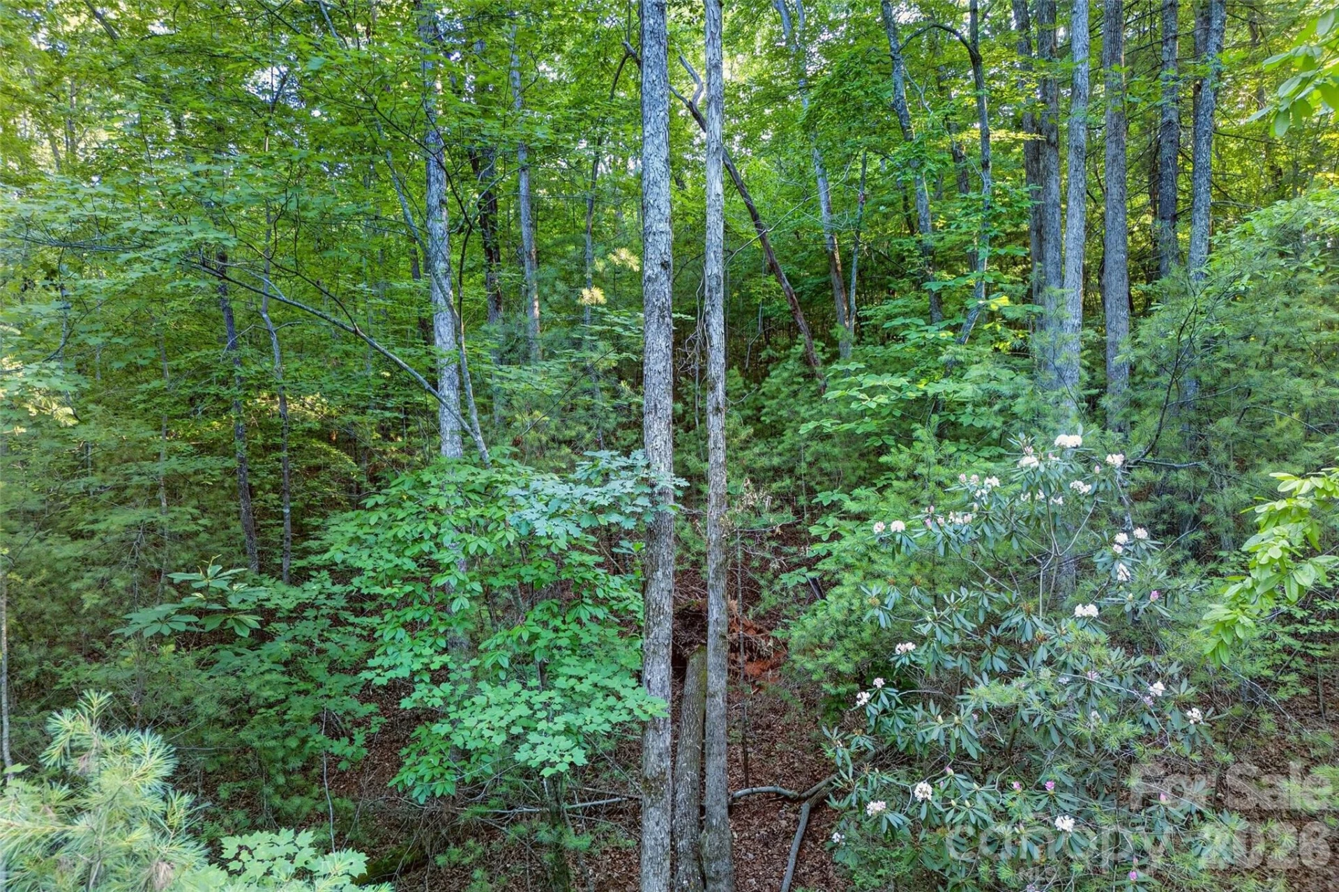 00 Yancey Road - Photo 21