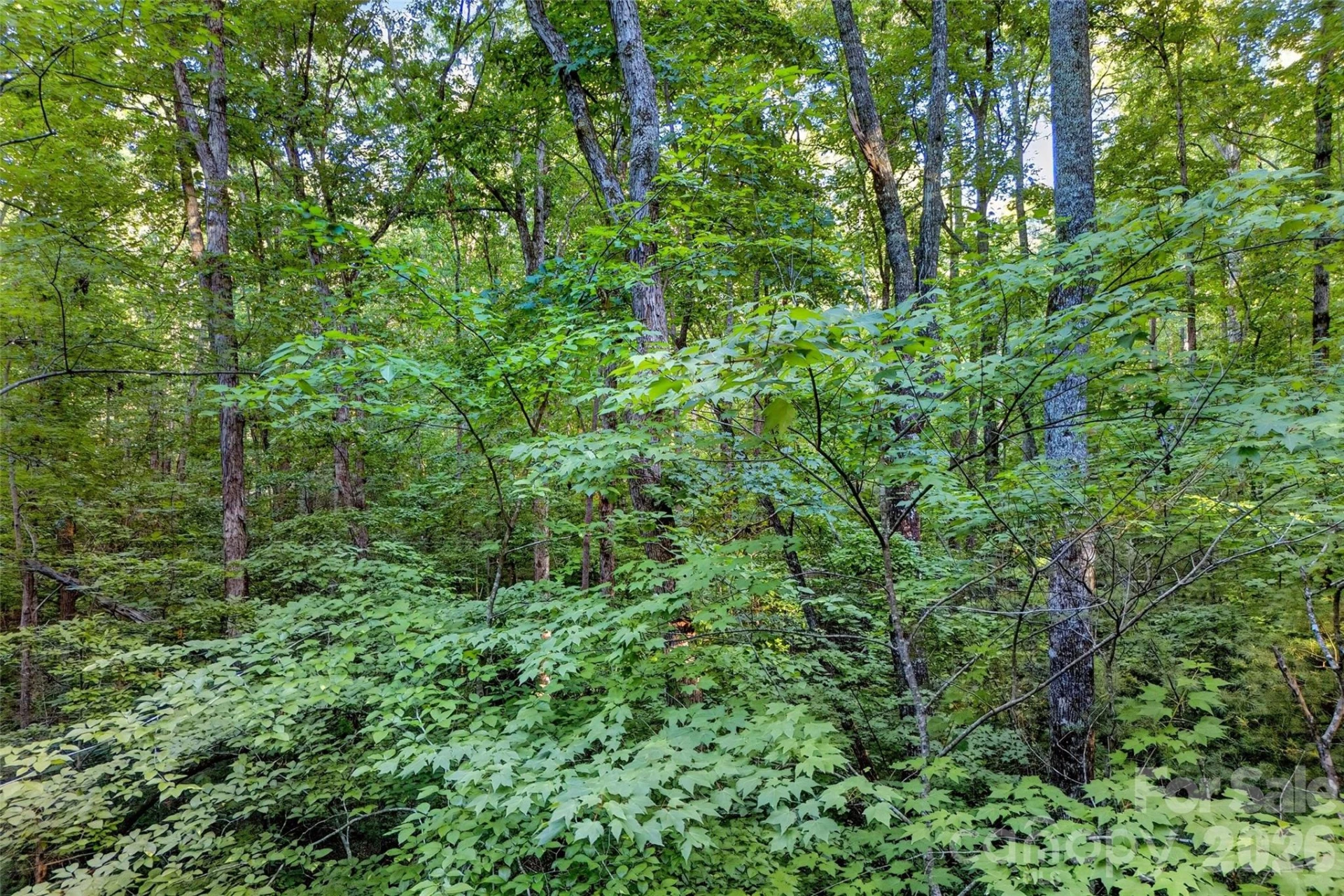 00 Yancey Road - Photo 22