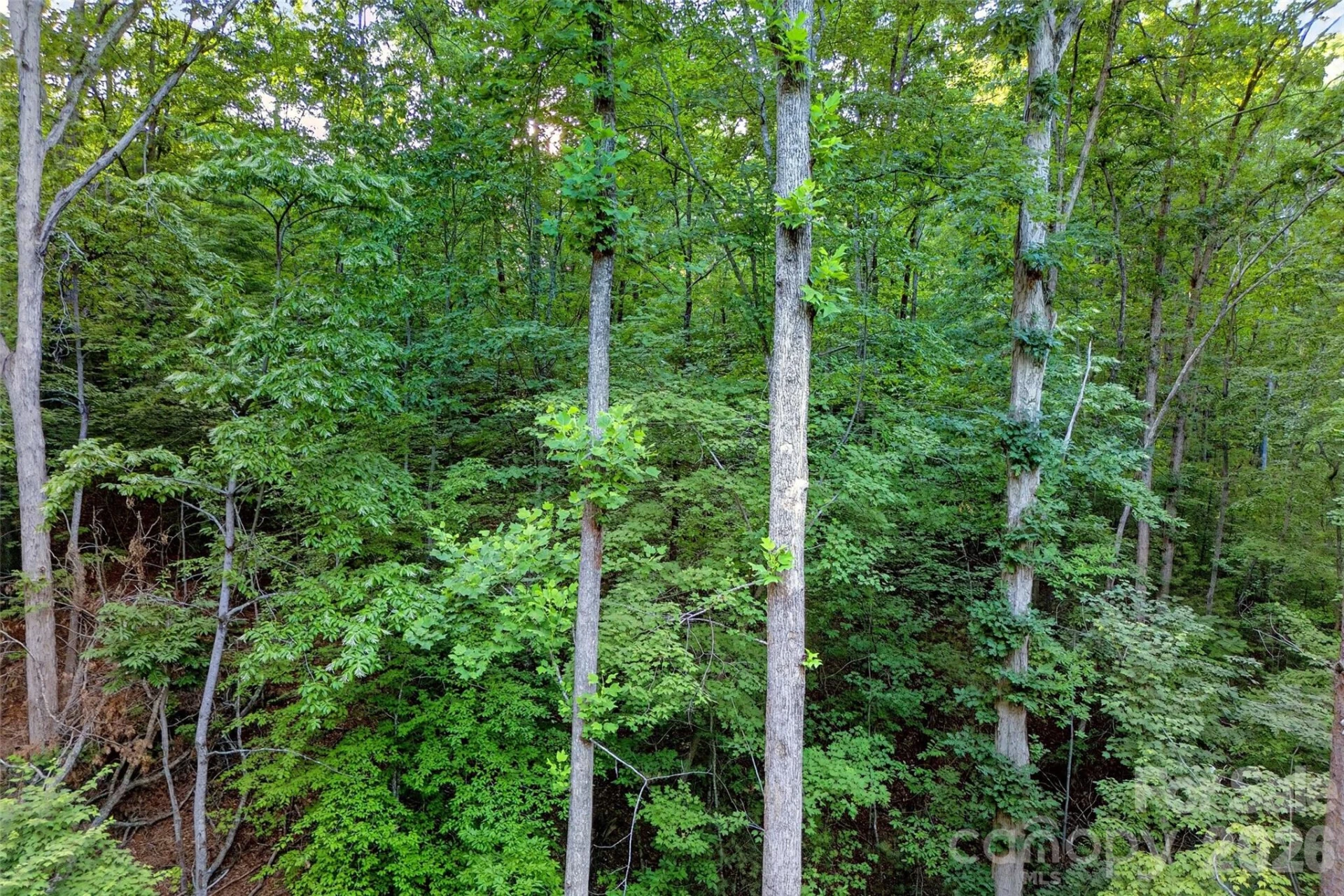 00 Yancey Road - Photo 24