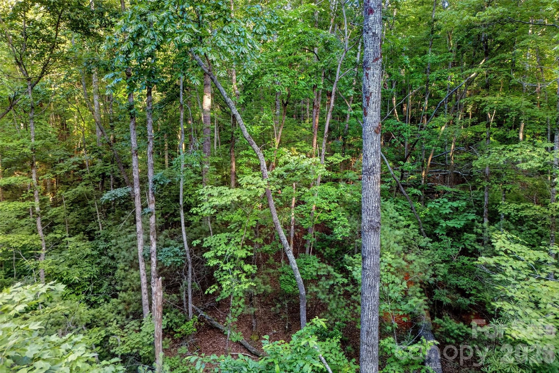 00 Yancey Road - Photo 26