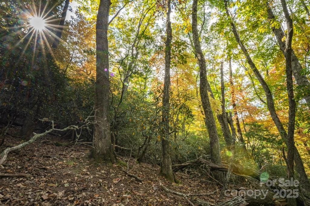 99999 Shining Rock Path - Photo 17