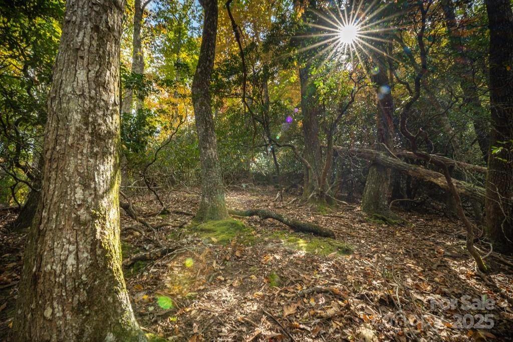 99999 Shining Rock Path - Photo 19