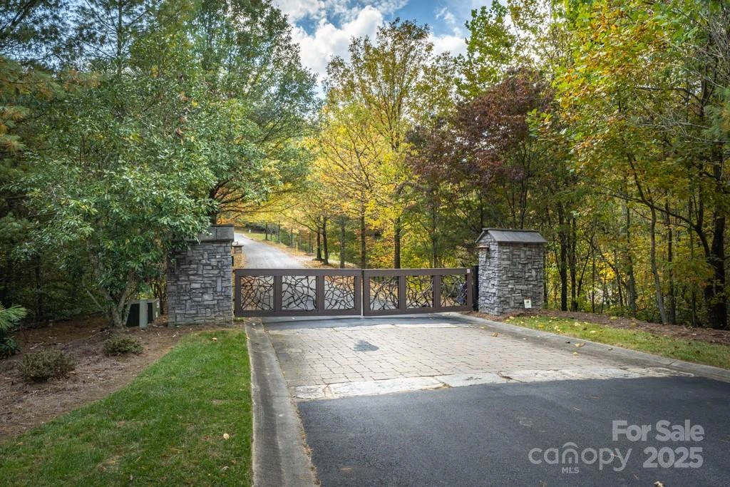 99999 Shining Rock Path - Photo 3