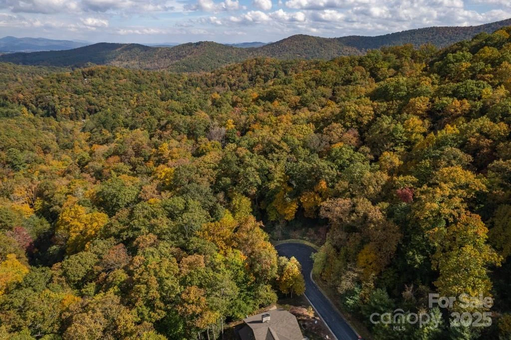 99999 Shining Rock Path - Photo 25