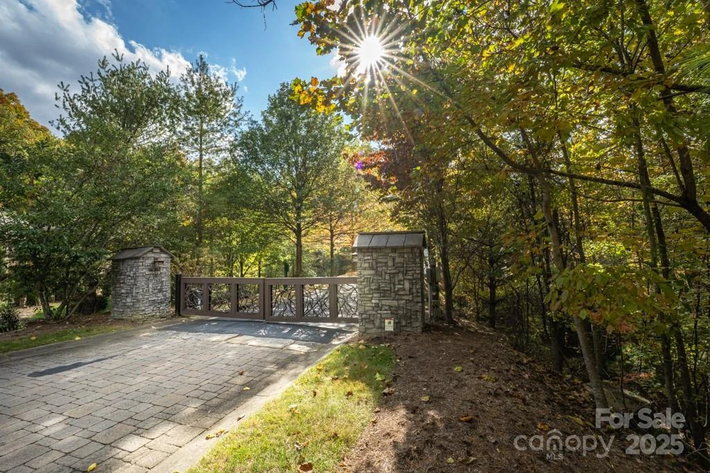 99999 Shining Rock Path - Photo 4