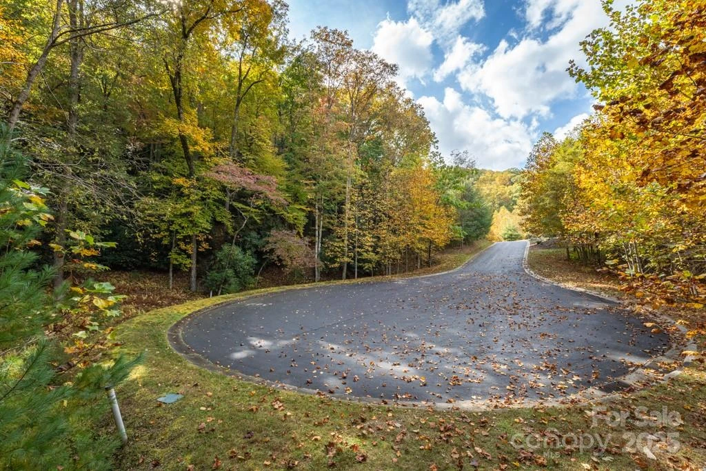 99999 Shining Rock Path - Photo 9