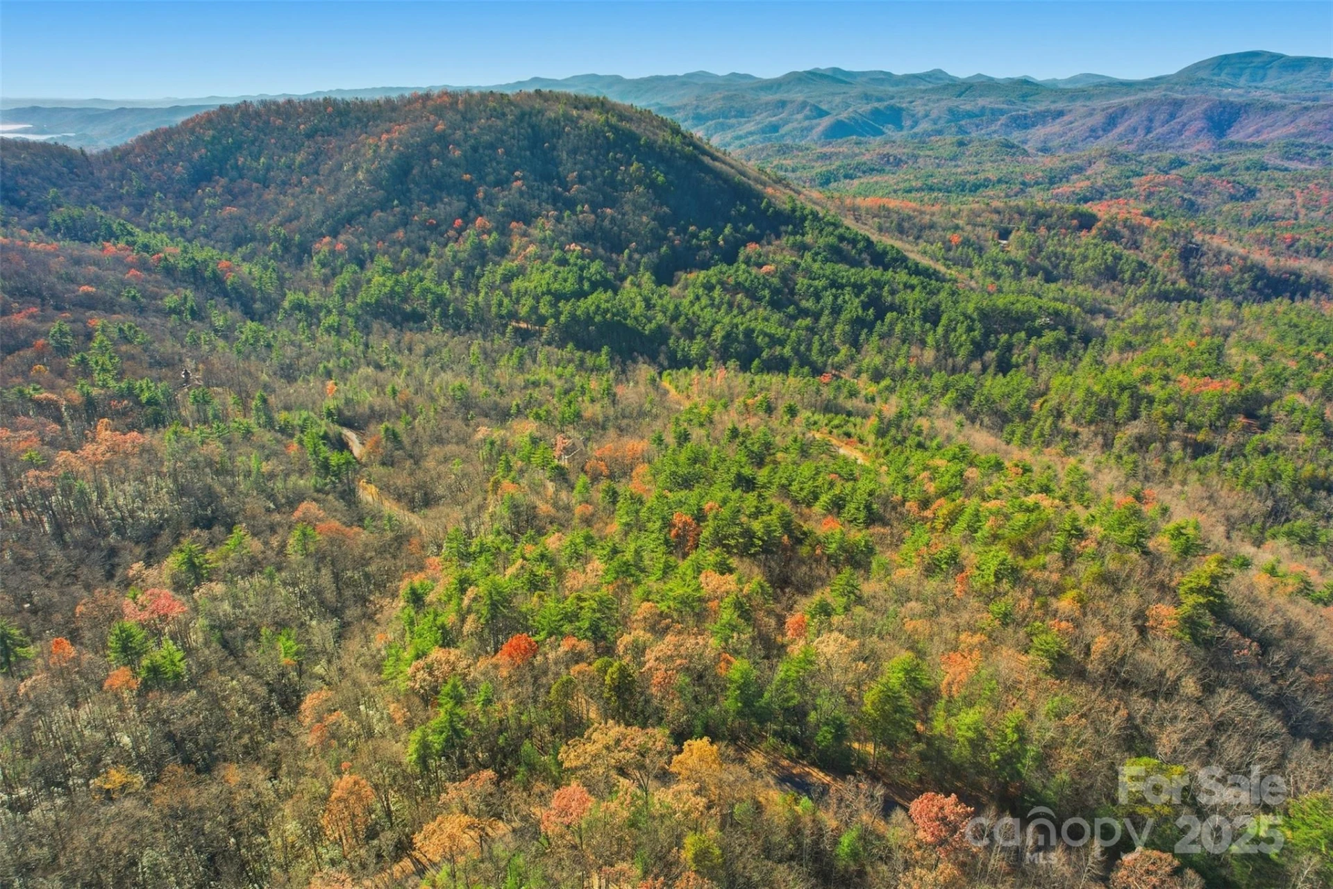 Lot 75 Peppervine Circle - Photo 2