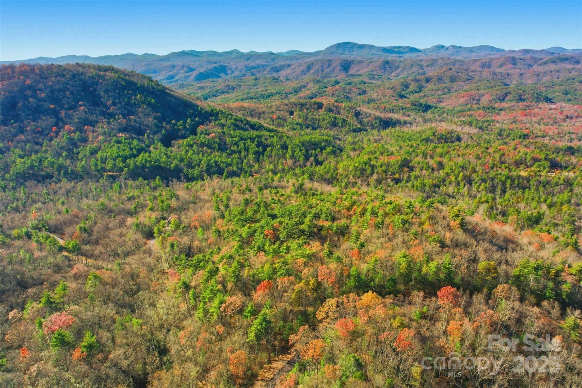 Lot 75 Peppervine Circle - Photo 11