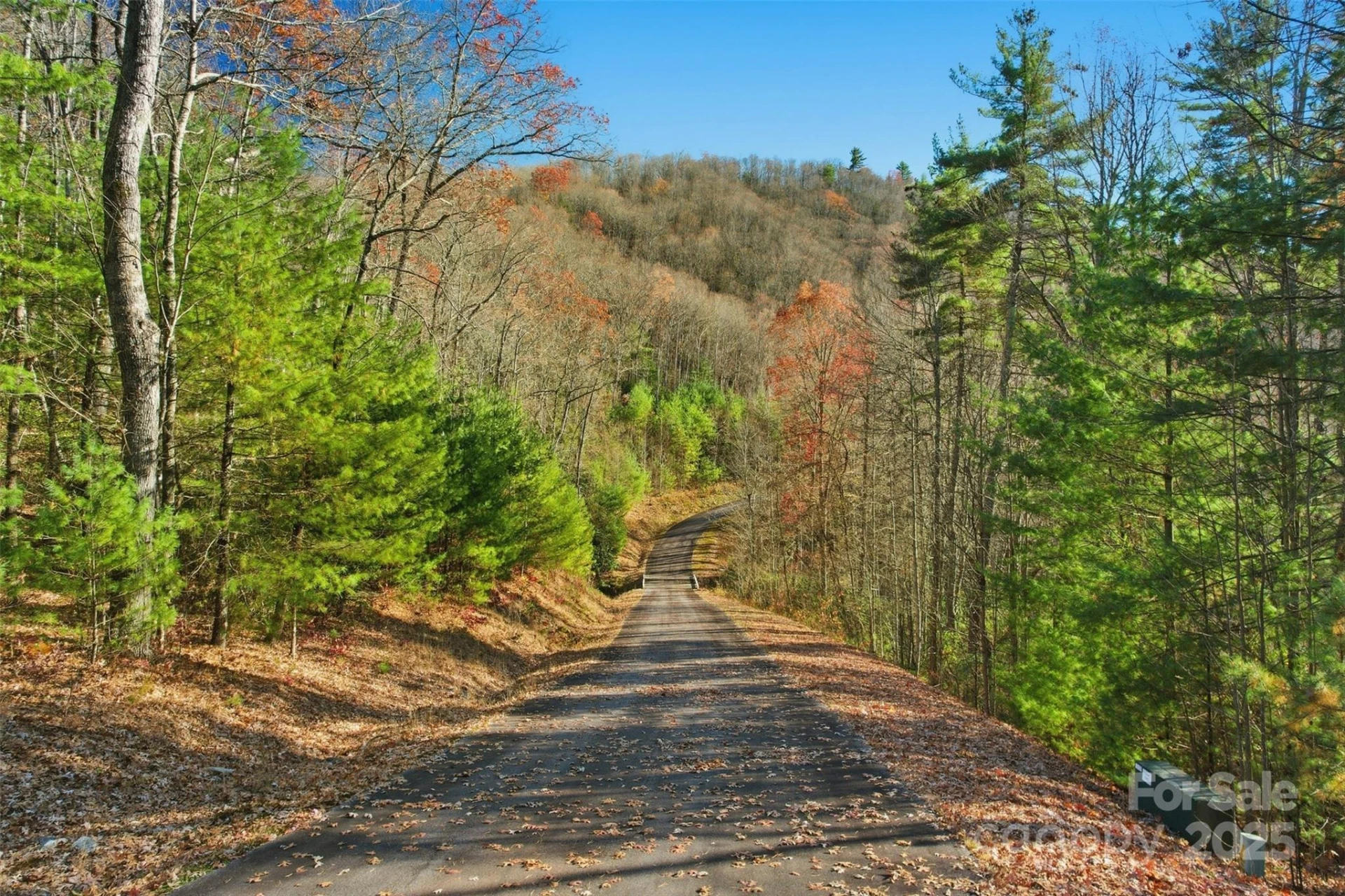 Lot 75 Peppervine Circle - Photo 13