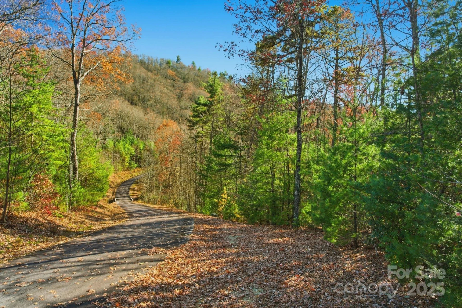 Lot 75 Peppervine Circle - Photo 15