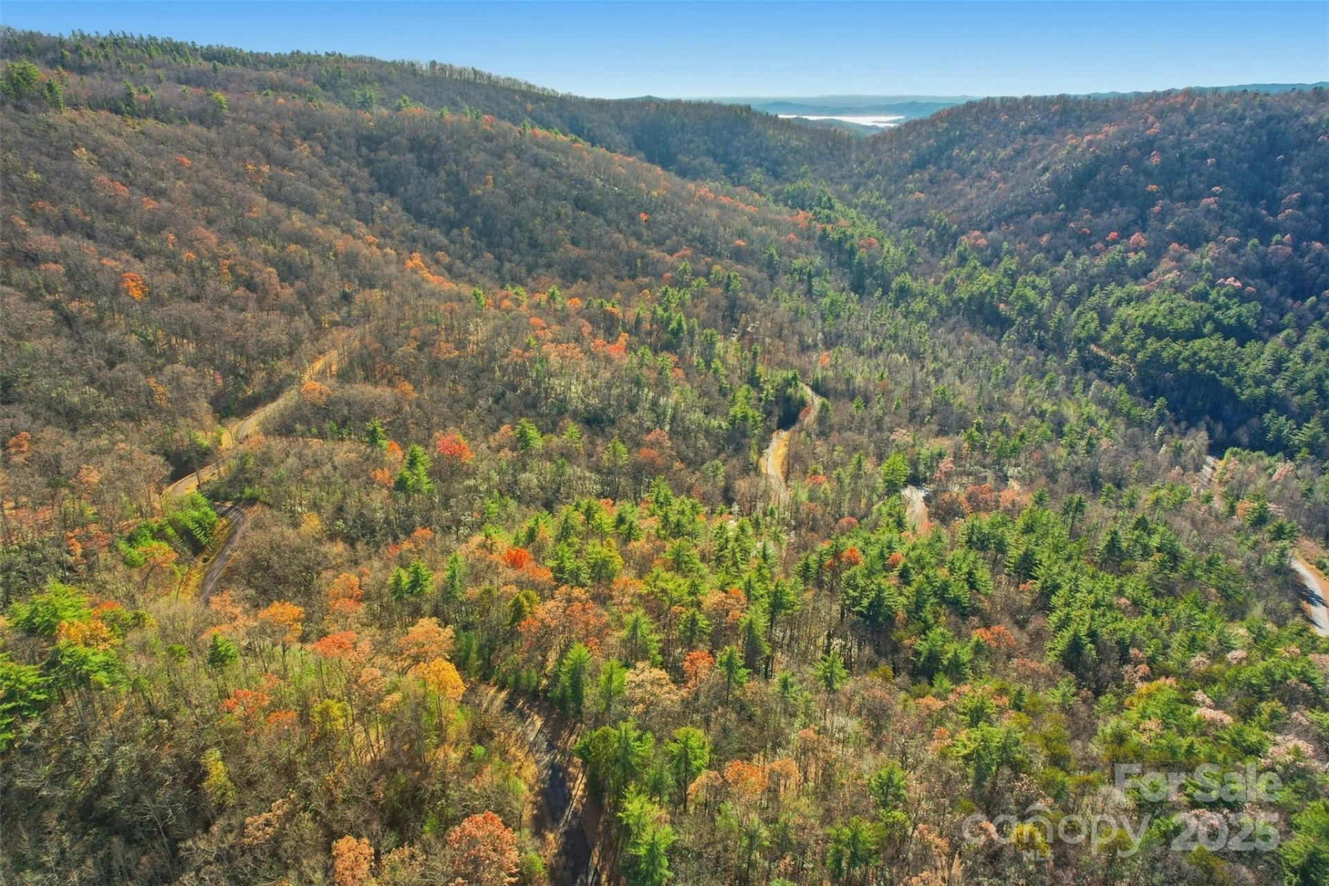 Lot 75 Peppervine Circle - Photo 3