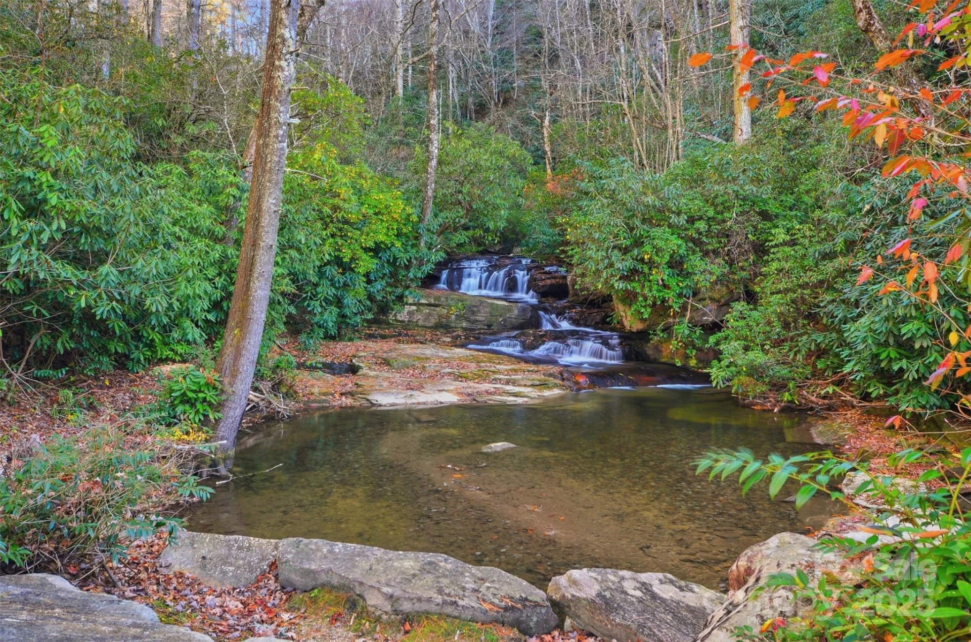 Lot 75 Peppervine Circle - Photo 25