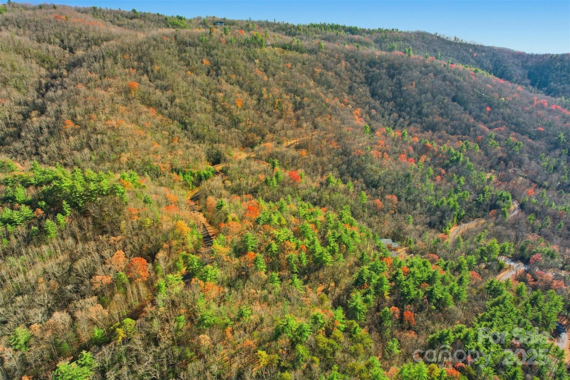 Lot 75 Peppervine Circle - Photo 4
