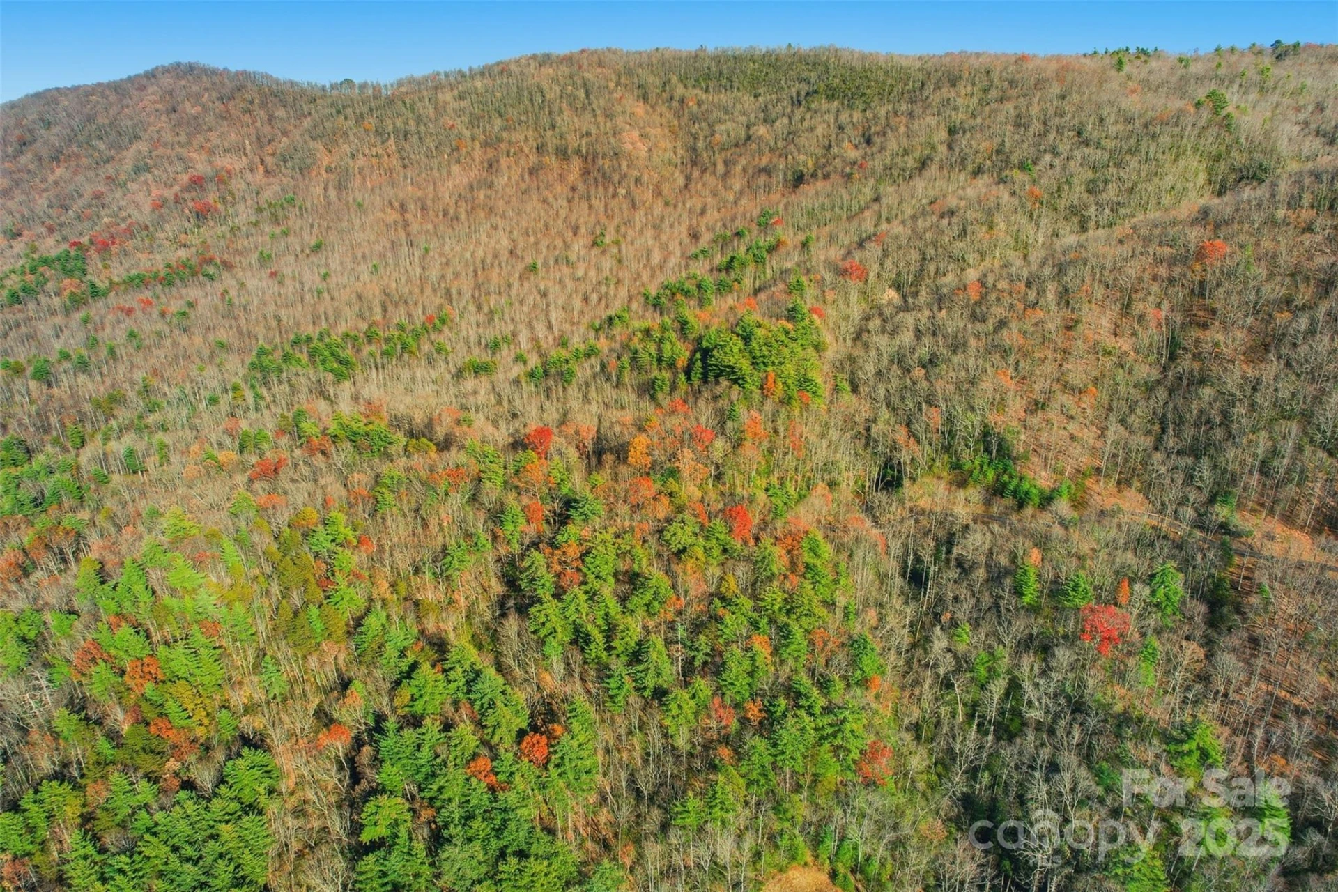 Lot 75 Peppervine Circle - Photo 7