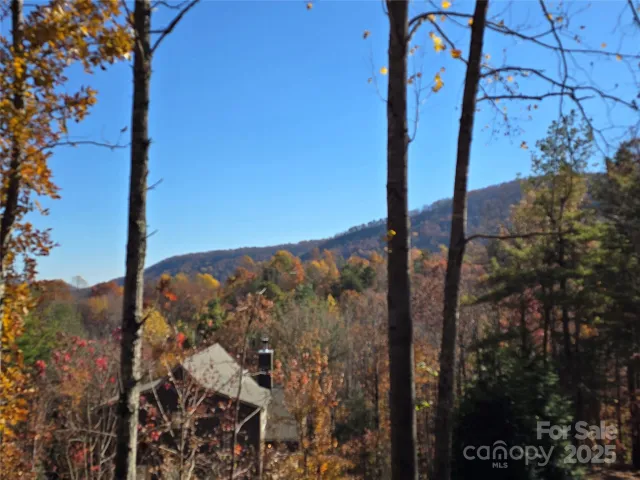 295 S Feather Falls Trail, Black Mountain, NC, 28711