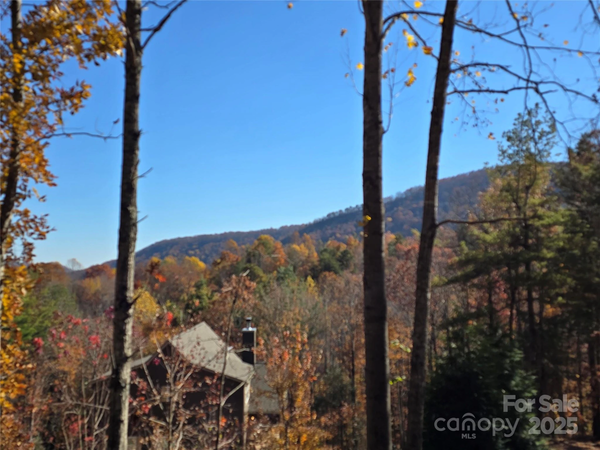 295 S Feather Falls Trail #50