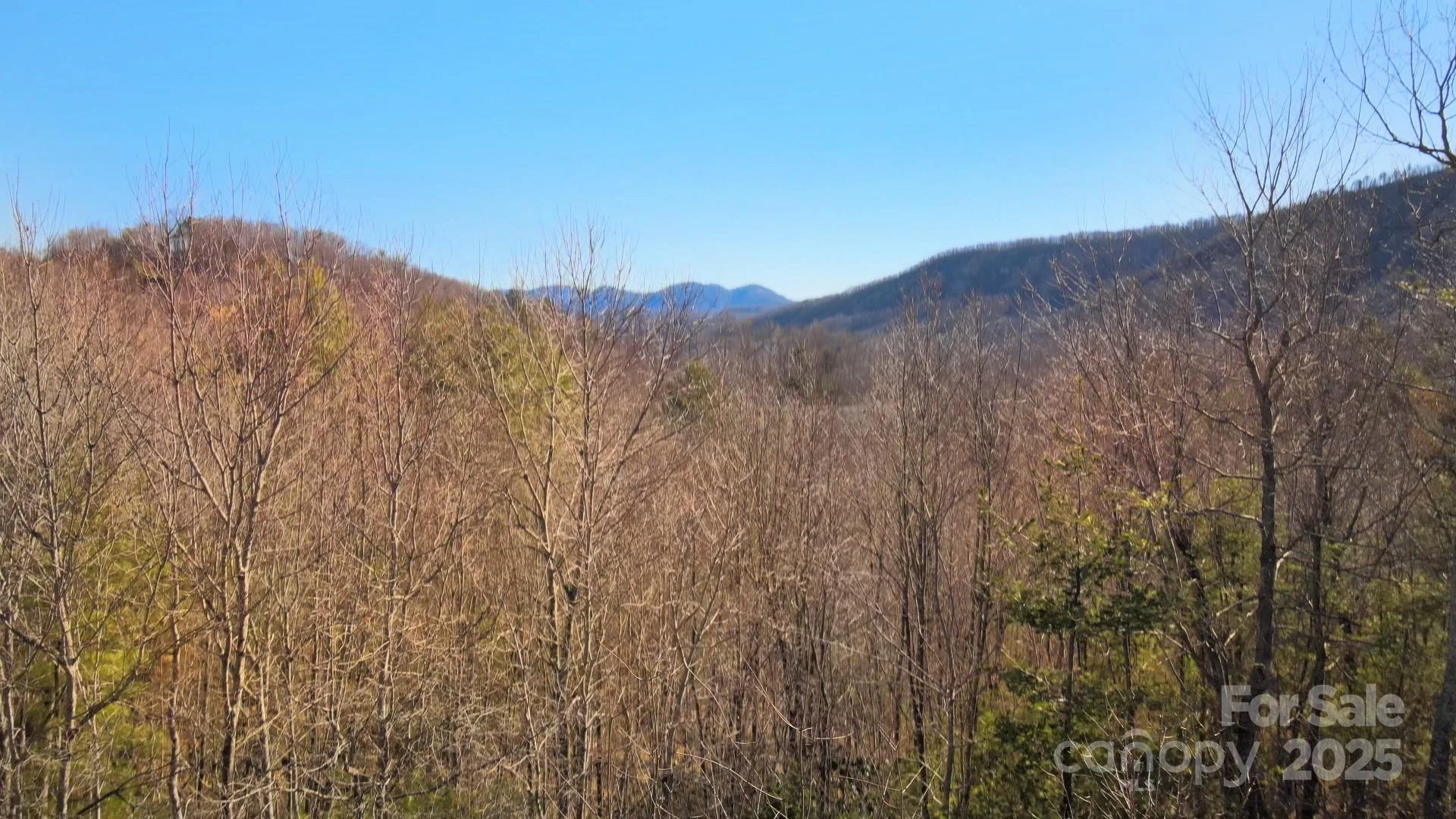 295 S Feather Falls Trail #50 - Photo 24