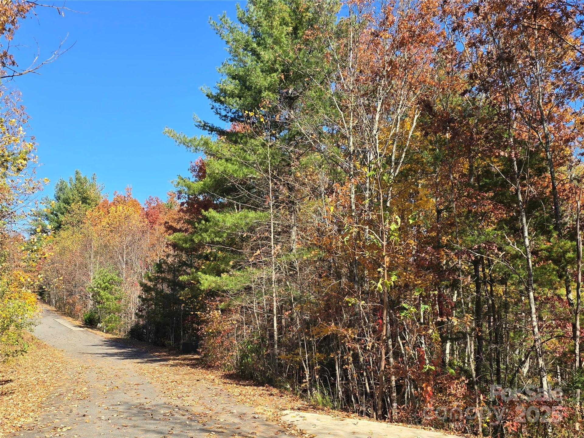 295 S Feather Falls Trail #50 - Photo 9