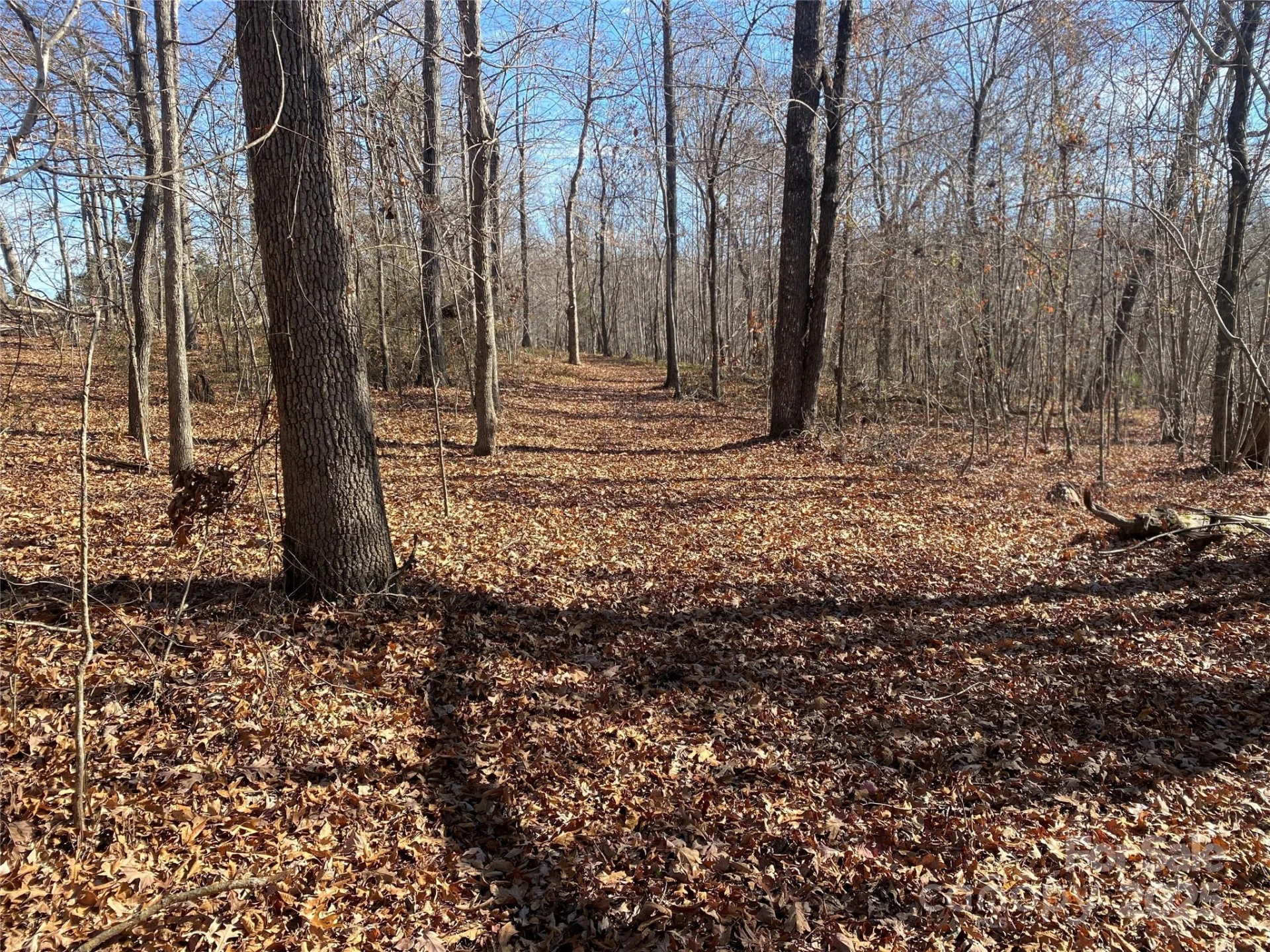 00 Kiser Road #Lot 1