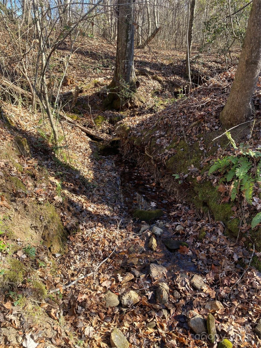 00 Kiser Road #Lot 1 - Photo 11