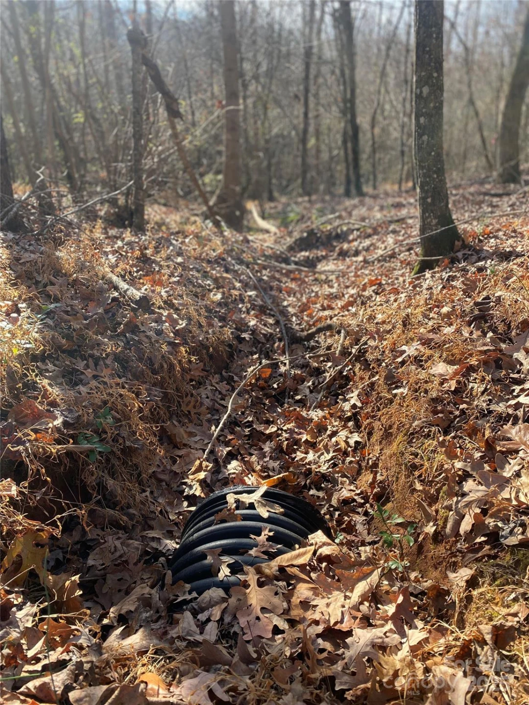 00 Kiser Road #Lot 1 - Photo 12