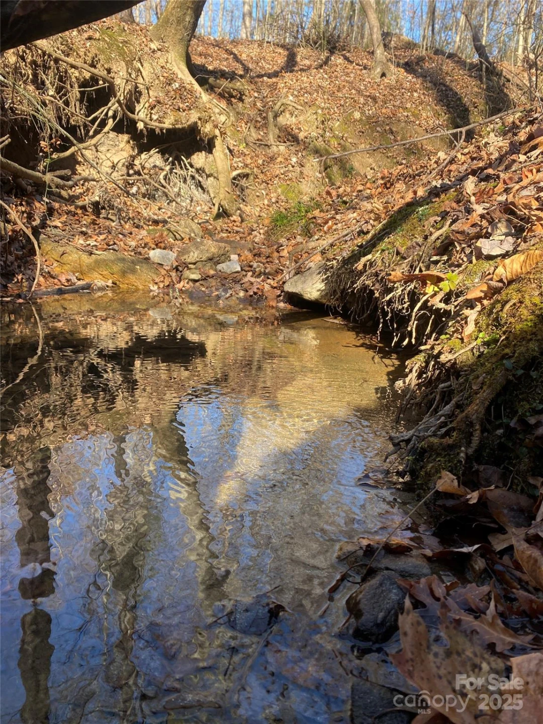 00 Kiser Road #Lot 1 - Photo 3