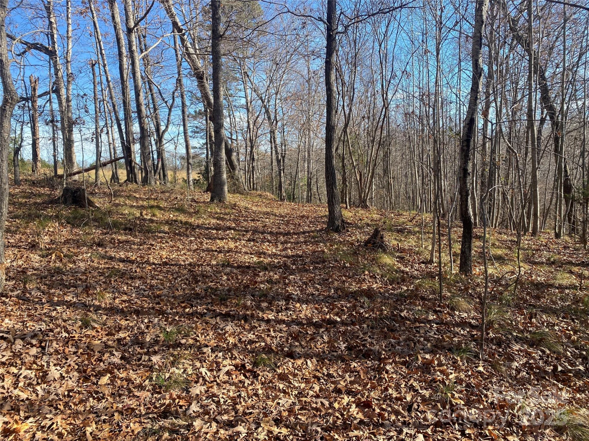 00 Kiser Road #Lot 1 - Photo 4