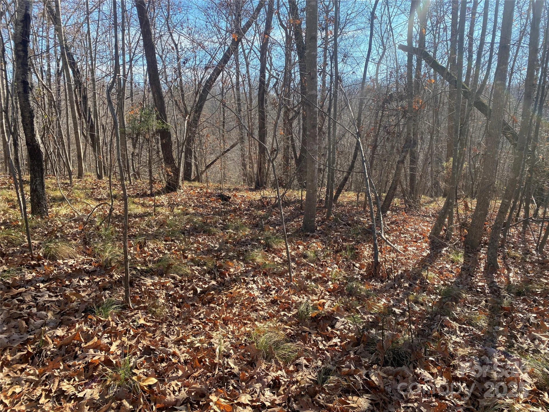 00 Kiser Road #Lot 1 - Photo 5