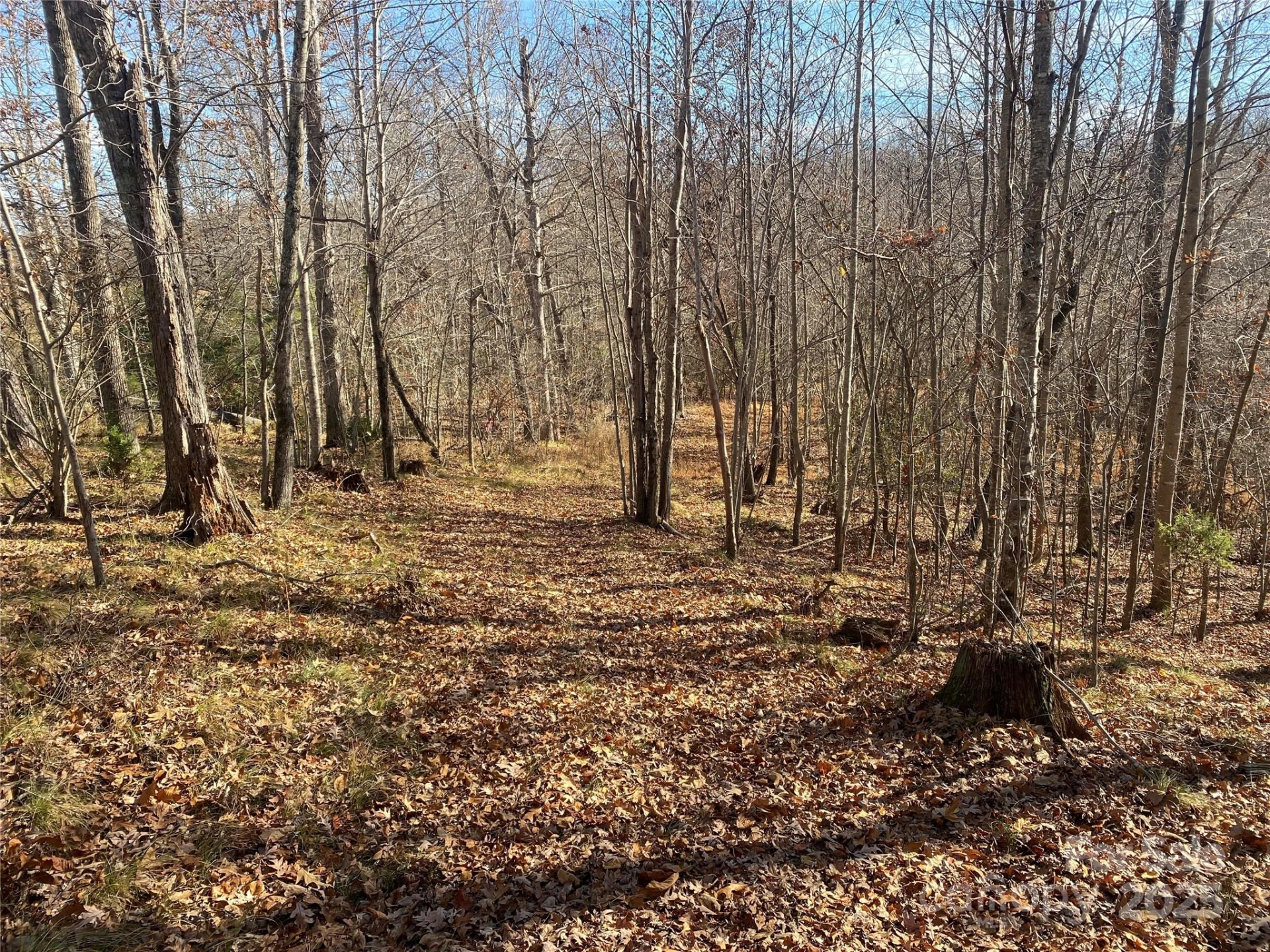 00 Kiser Road #Lot 1 - Photo 6