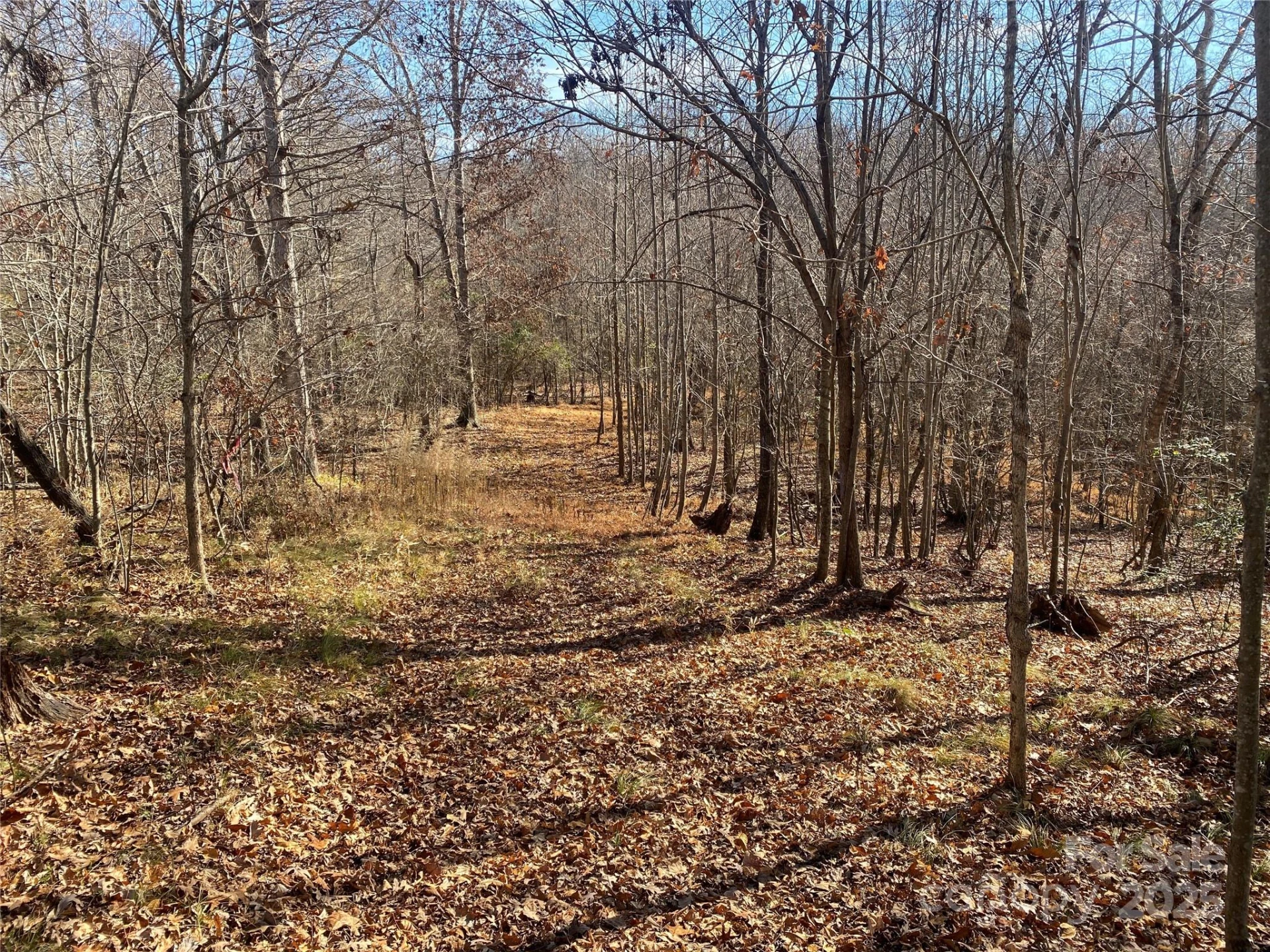 00 Kiser Road #Lot 1 - Photo 7