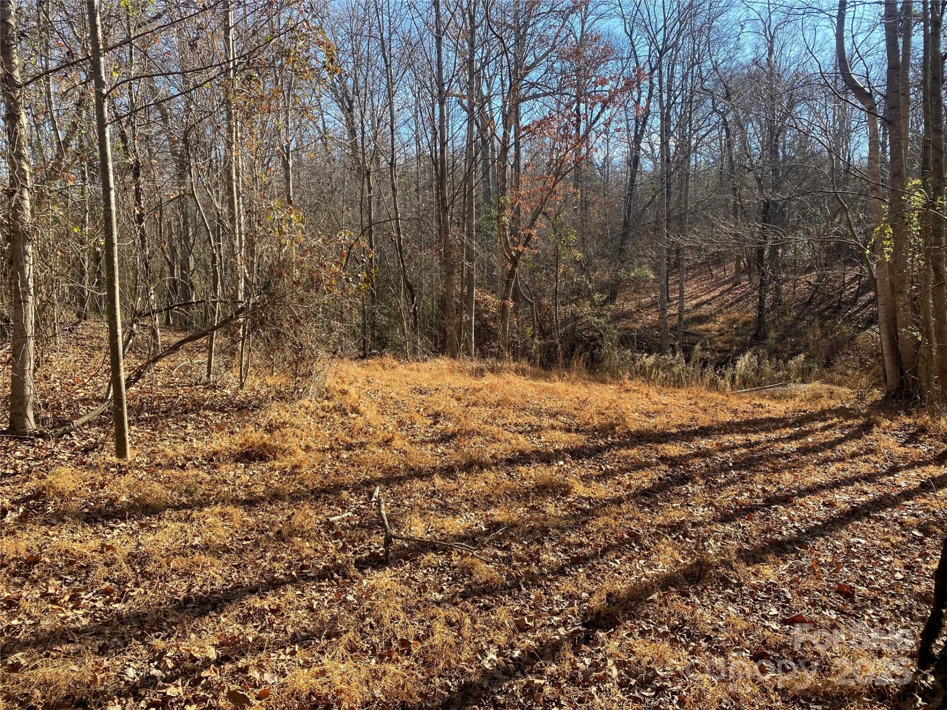 00 Kiser Road #Lot 1 - Photo 8