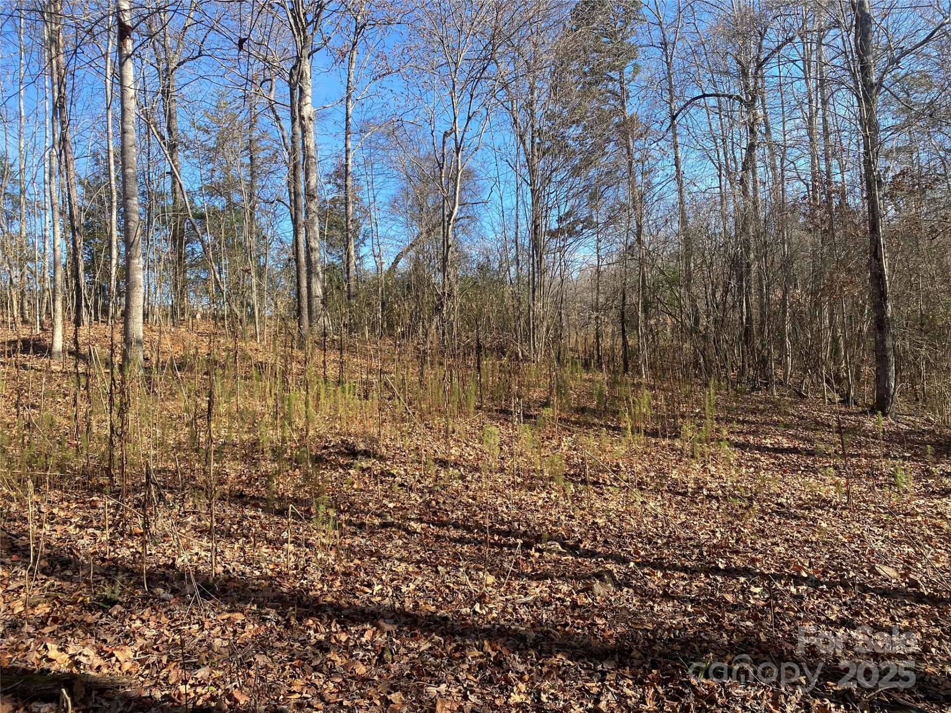 00 Kiser Road #Lot 1 - Photo 9