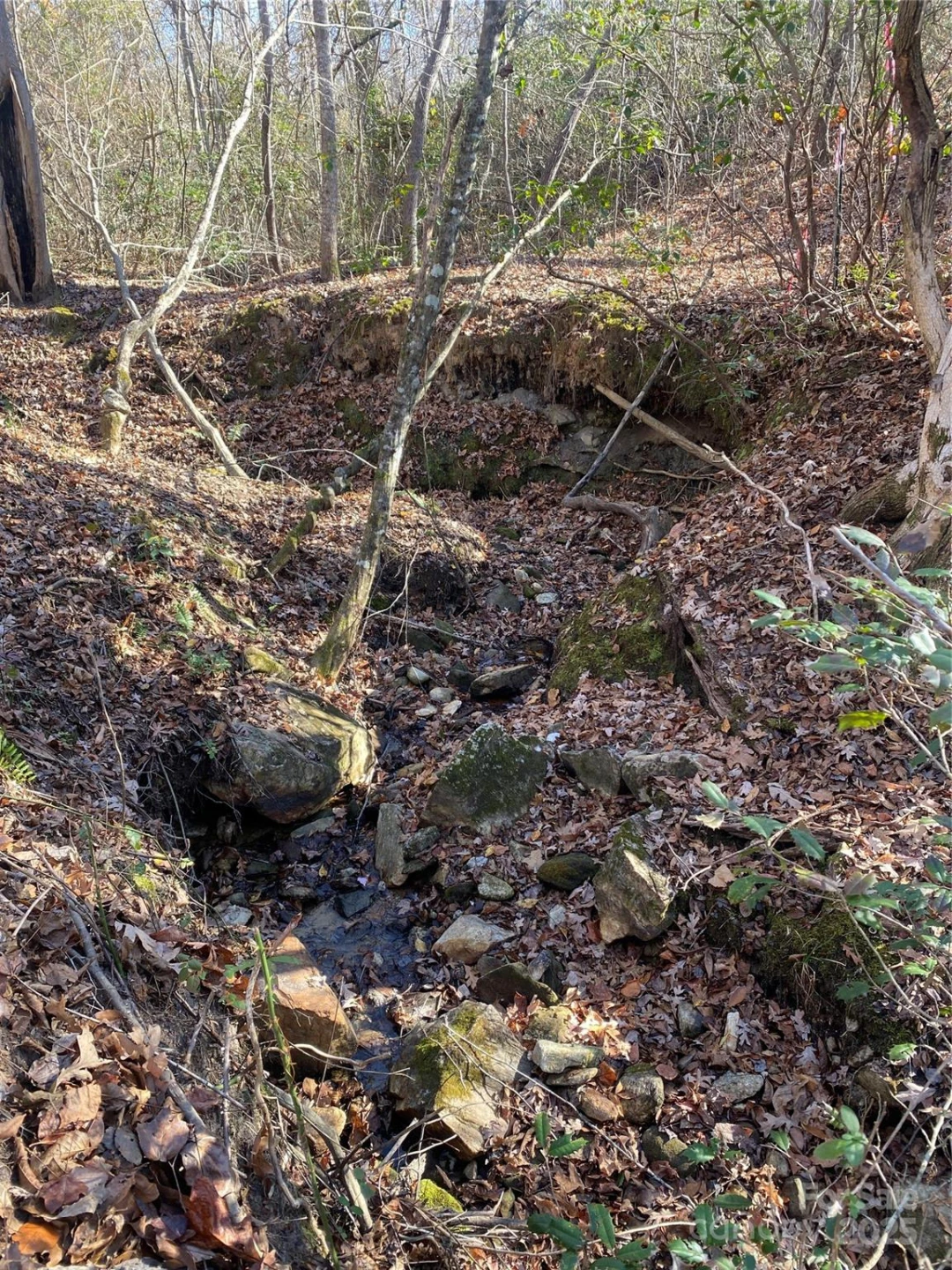 00 Kiser Road #Lot 1 - Photo 10