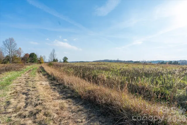 1888 Pea Ridge Road, Mill Spring, NC, 28756