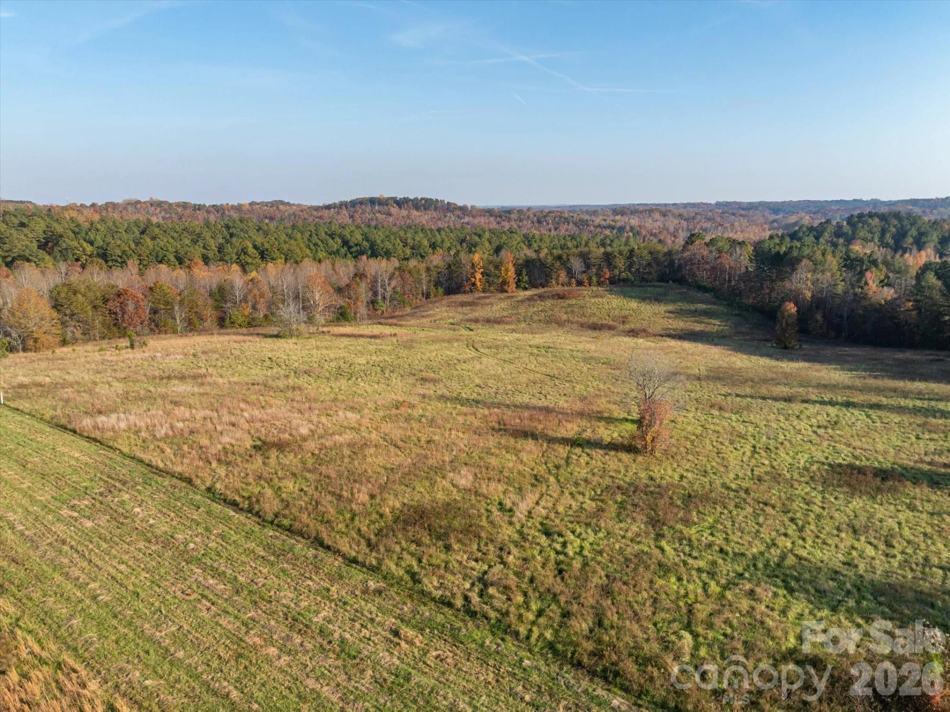 1888 Pea Ridge Road - Photo 3