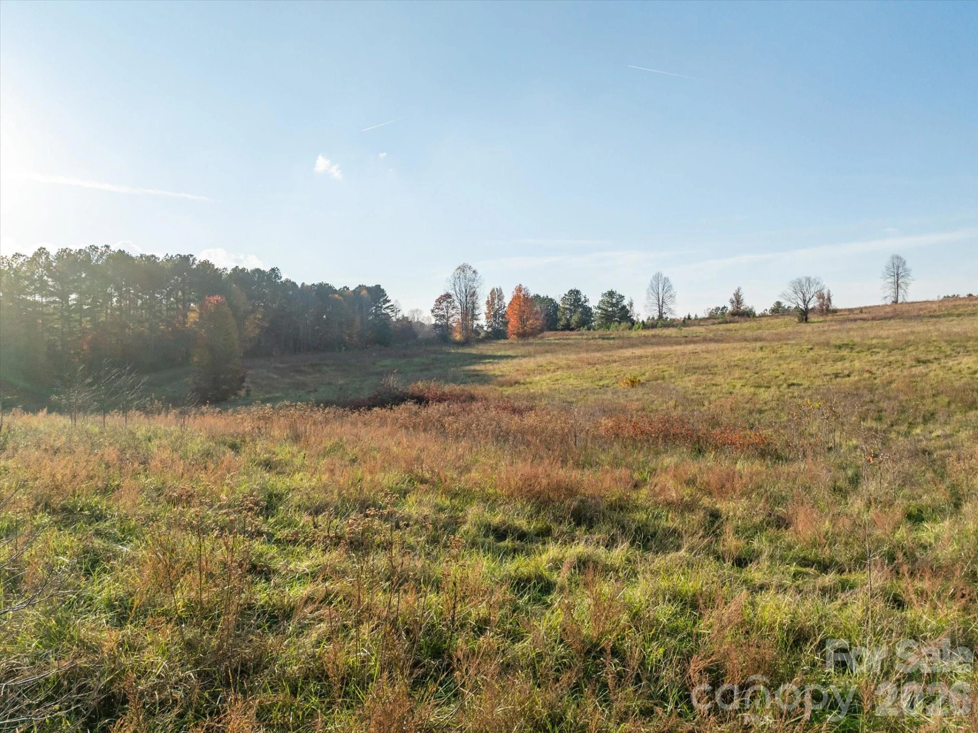 1888 Pea Ridge Road - Photo 7