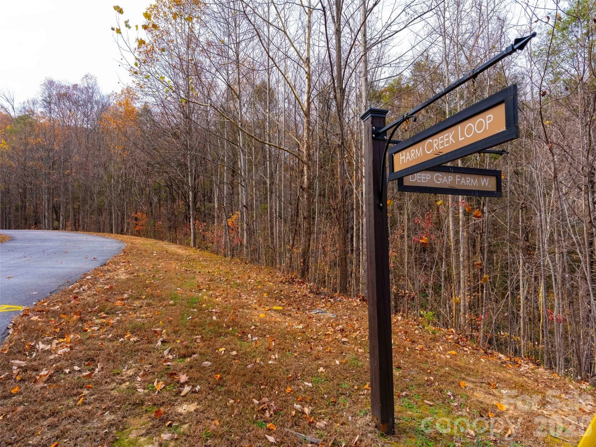 Lot 2110 Harm Creek Loop - Photo 11