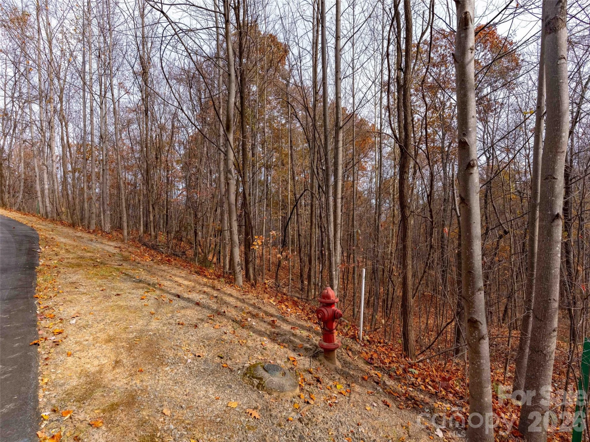 Lot 2110 Harm Creek Loop - Photo 9