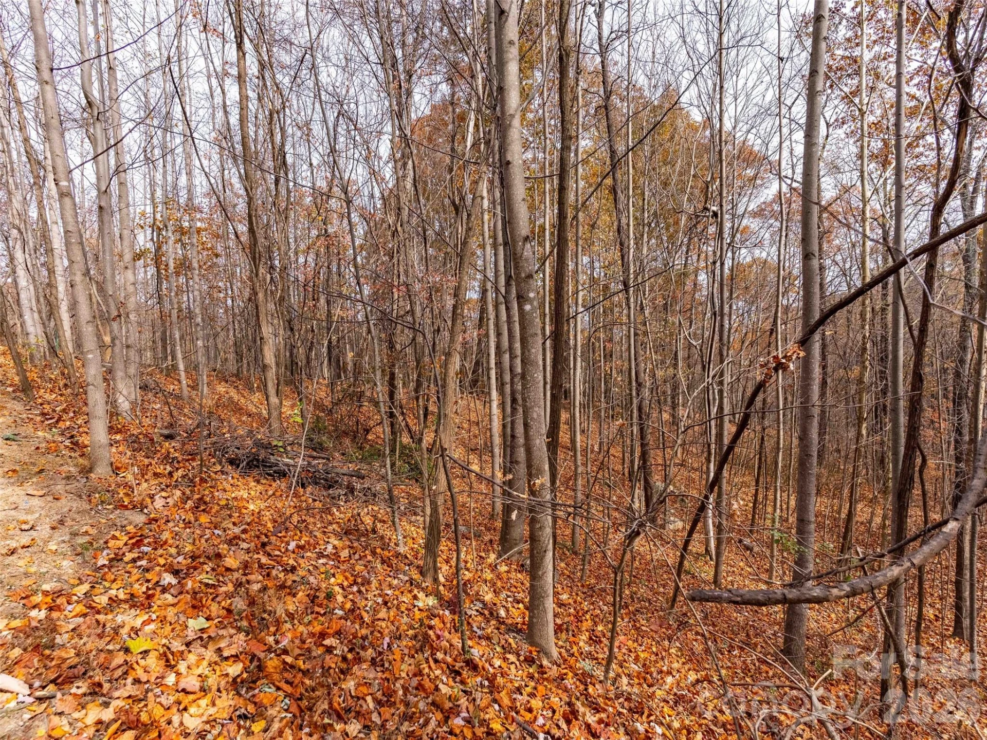 Lot 2110 Harm Creek Loop - Photo 10