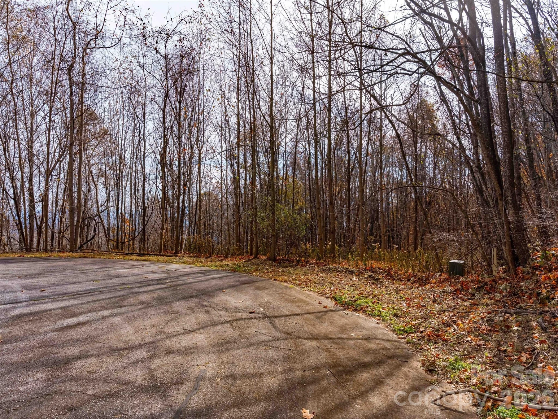 242 Nottingham Drive - Photo 9