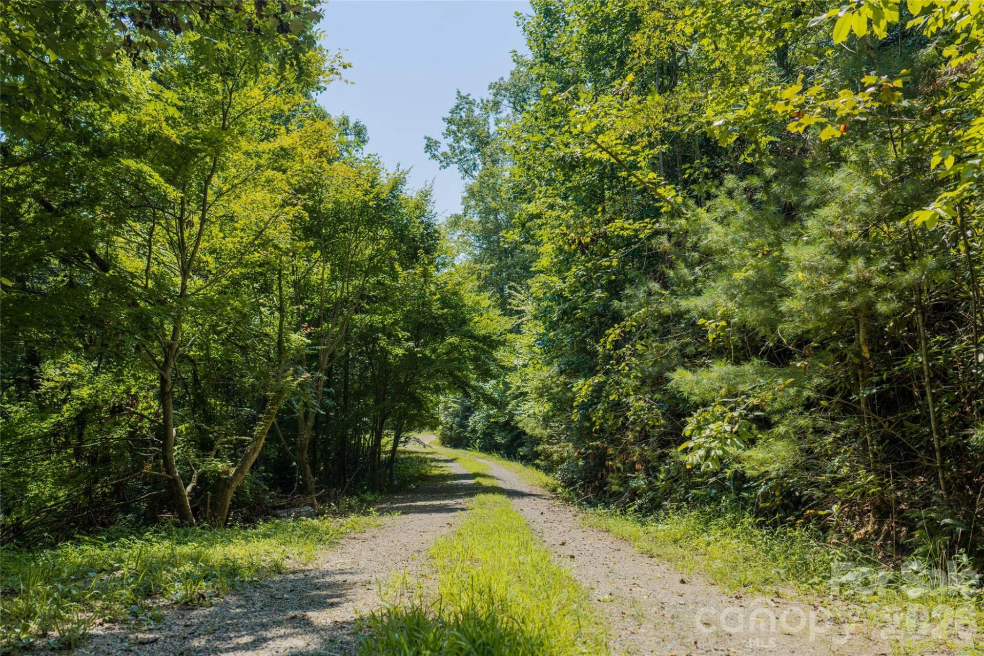 649 Old NC 280 Highway - Photo 3