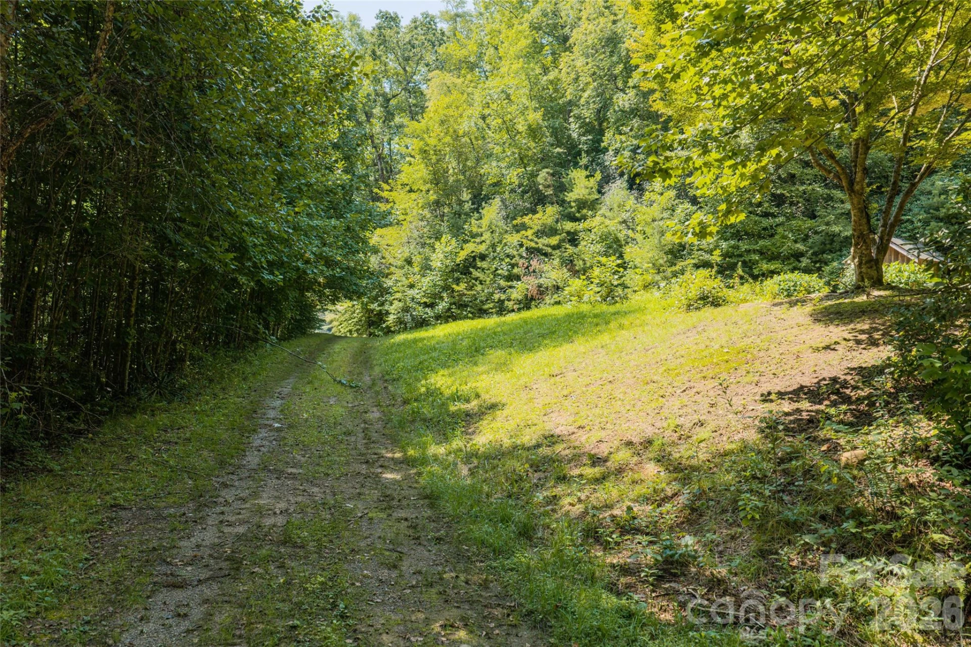 649 Old NC 280 Highway - Photo 5
