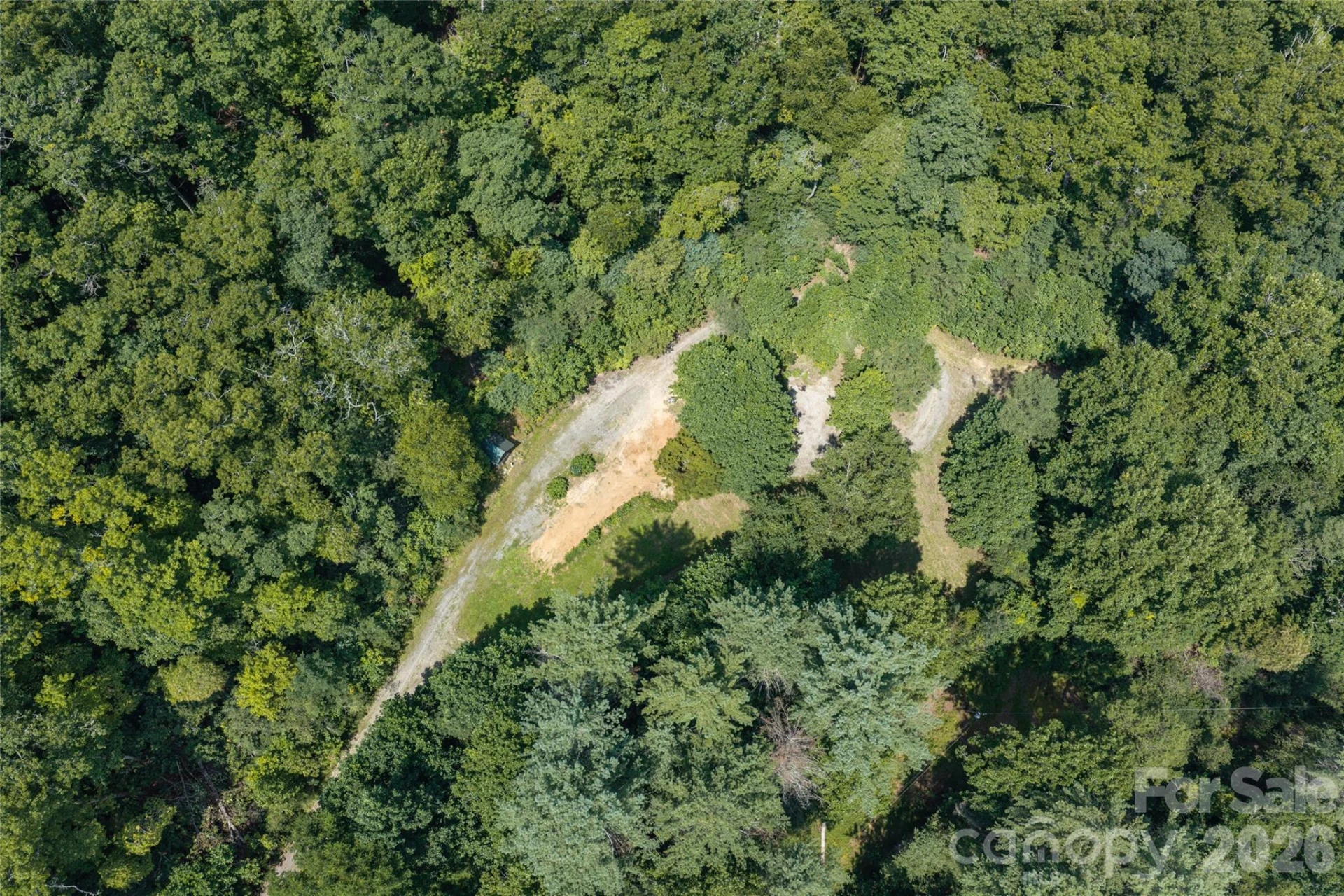 649 Old NC 280 Highway - Photo 10