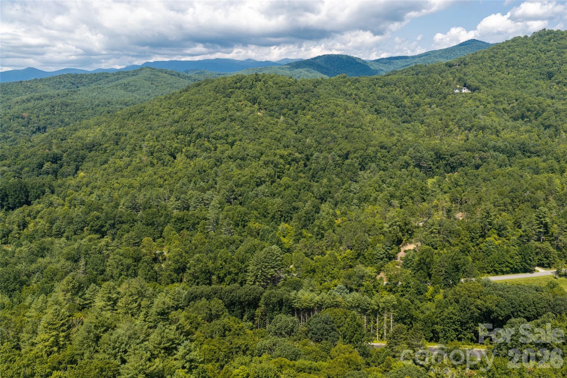 649 Old NC 280 Highway - Photo 15