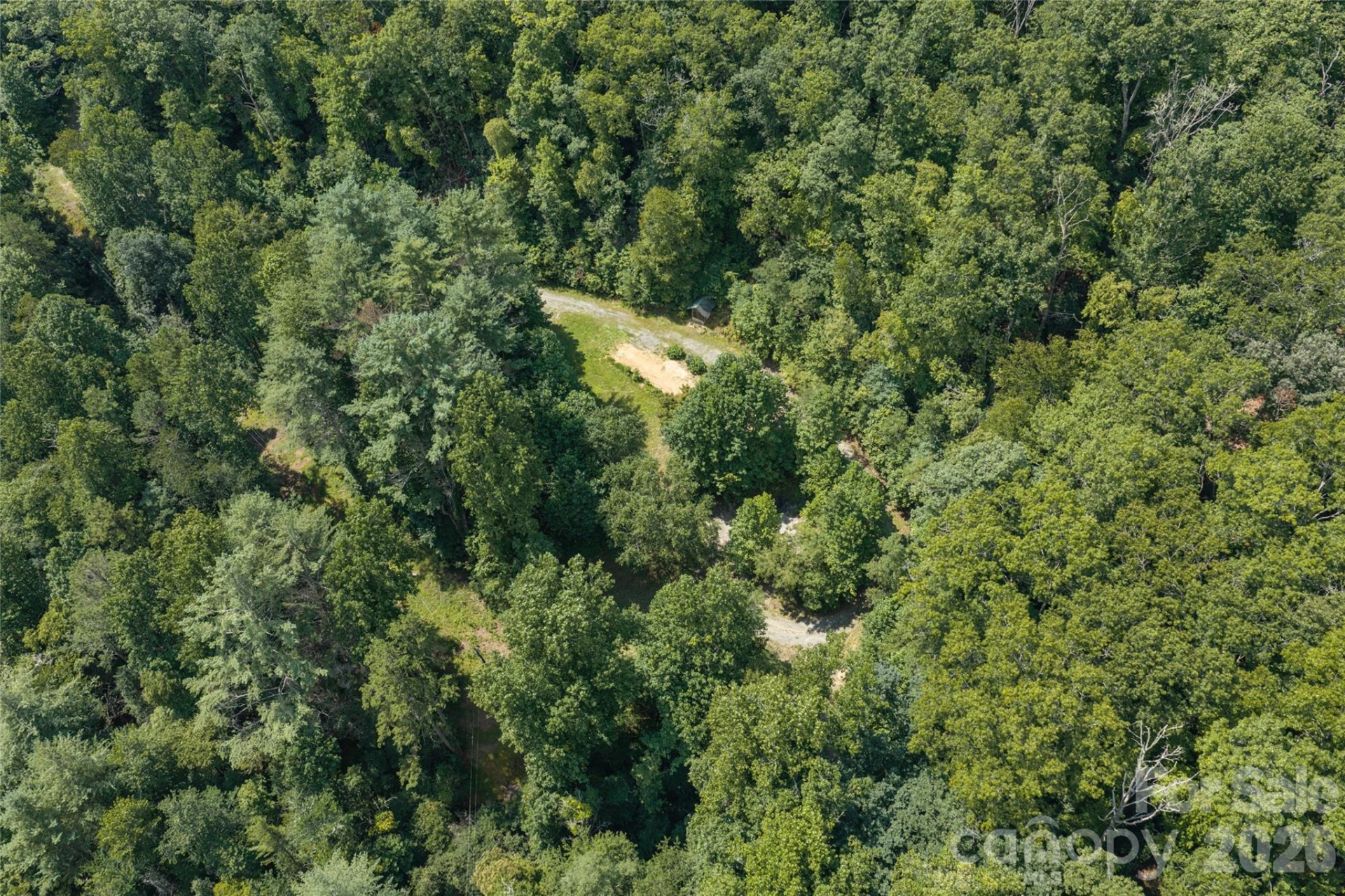 649 Old NC 280 Highway - Photo 18