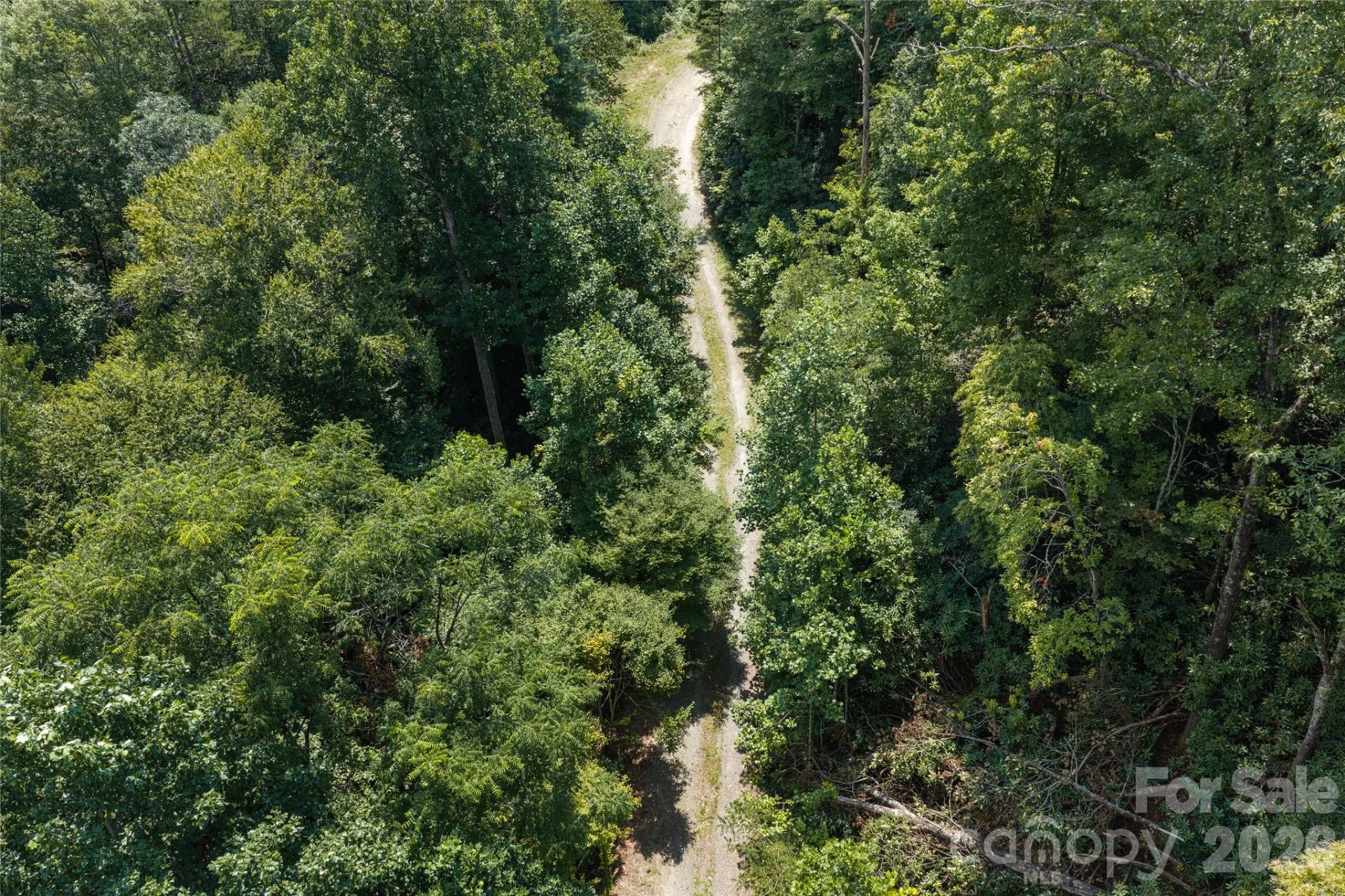 649 Old NC 280 Highway - Photo 19