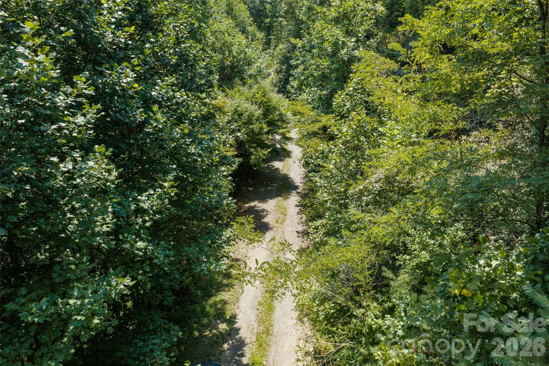 649 Old NC 280 Highway - Photo 20