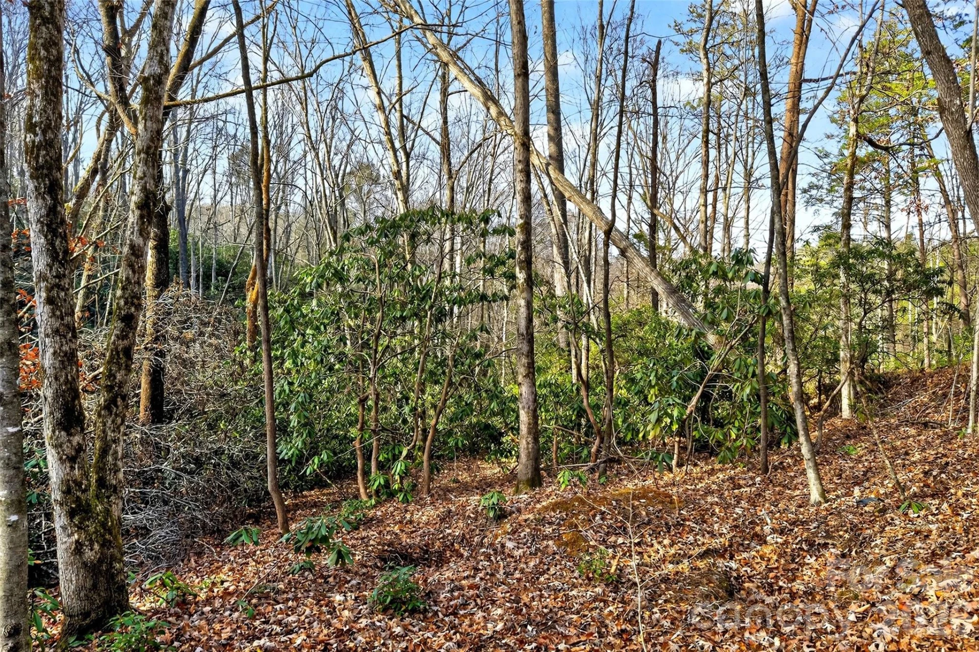 172 Crimson Drive #995 - Photo 17