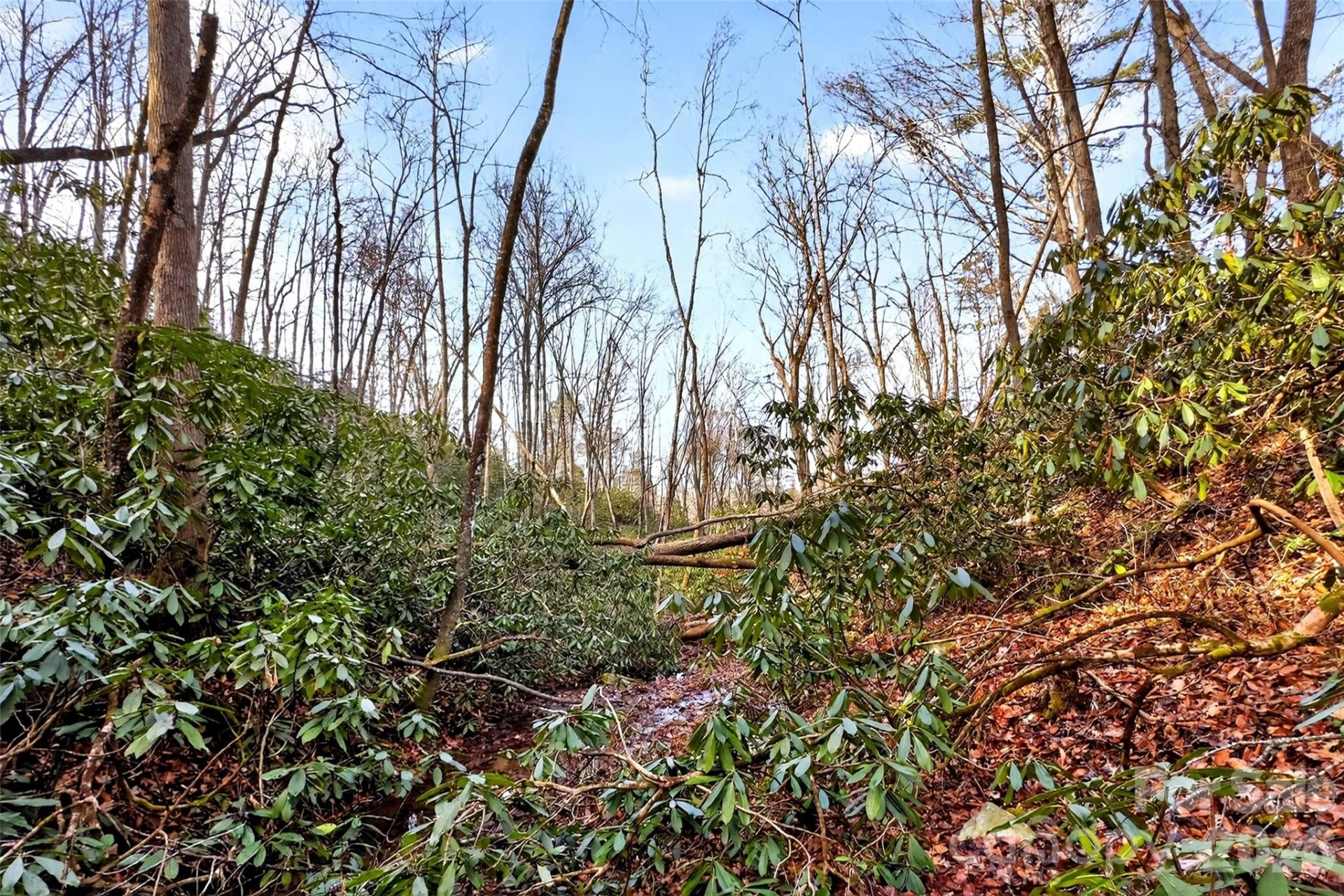 172 Crimson Drive #995 - Photo 21