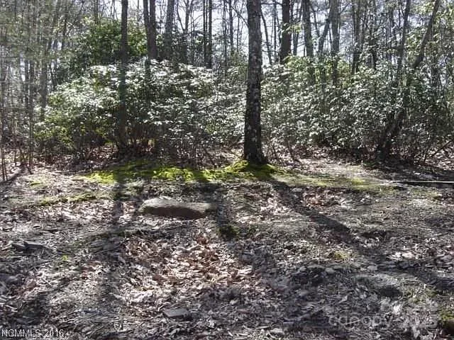 91 Old Forge Drive, Bostic, NC, 28018
